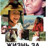 Смотреть Жизнь за один день